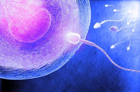 பெண்ணுக்கு நீதி 11: வாடகைத்தாய் முறை வரமா, சாபமா?