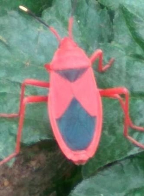 கான்கிரீட் காட்டில் 10: அப்படியென்ன அவசர வேலை?