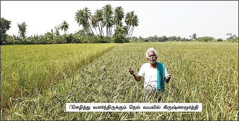 இந்த ‘நெல்’ பெருகும்!