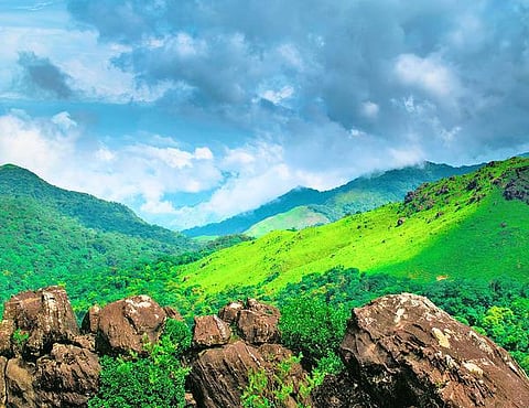 தொட்டனைத்து ஊறும் அமிழ்தம் 59: தொடர் வருமானம் தரும் குறிஞ்சி!