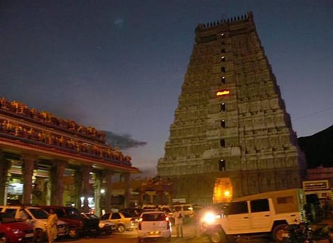 சொக்கப்பனை கோலாகலம்!