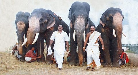 நிருபர் டைரி: பக்தர்களே நடிகர்கள்!