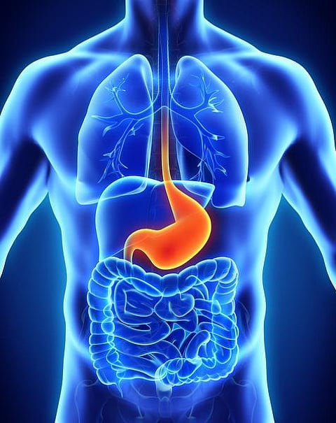 உடல் எனும் இயந்திரம் 4: உடலுக்குள் ஒரு மிக்ஸி!