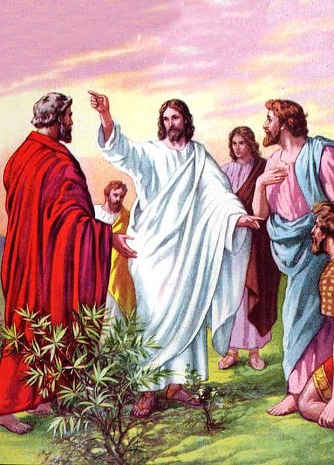 கிறிஸ்துவின் தானியங்கள்: புறாக்களைப் போல நடந்துகொள்ளுங்கள்