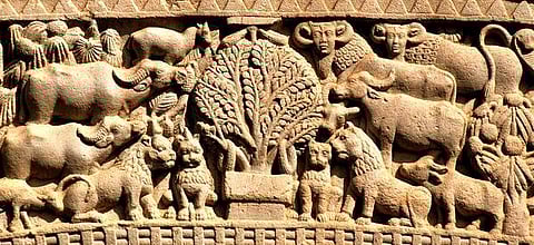 வியப்பூட்டும் இந்தியா: அழகிய சாஞ்சி