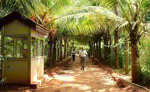 தினகரன் பண்ணை வீட்டில் பூட்டி சீல் வைத்த அறையில் வருமான வரித்துறையினர் ஆய்வு