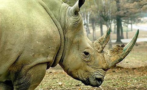 டிங்குவிடம் கேளுங்கள்: தினமும் குளிக்க வேண்டுமா?