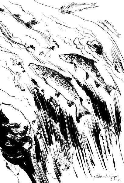 கடலம்மா பேசுறங் கண்ணு 36: நினைவென்னும் ஜி.பி.எஸ்!