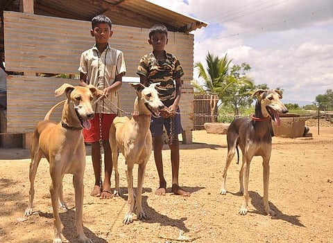 முதல் நண்பன் 17: அங்கீகாரத்தின் பயன் என்ன?