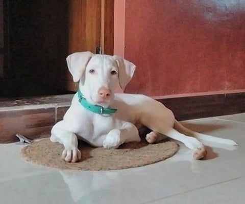 முதல் நண்பன் 18: எதற்கு இந்த வன்மம்?