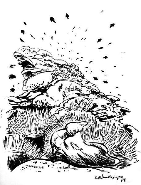 கடலம்மா பேசுறங் கண்ணு 37: பவளப் புற்றுகள்!