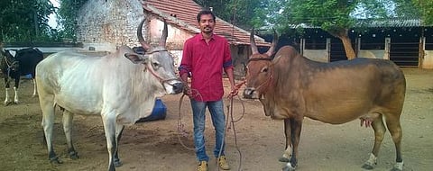 ஐ.டி.யா? கோடங்கிபட்டியா?