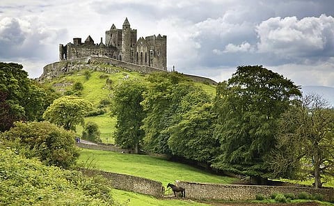 இது எந்த நாடு? 43: கின்னஸை உருவாக்கிய நாடு