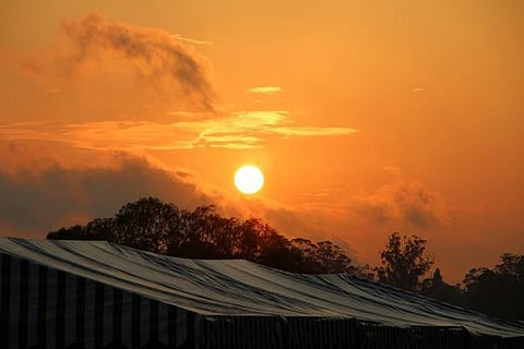 பேசும் படம்: ஊர் உலா!