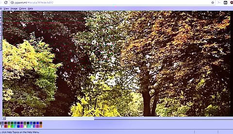 தகவல் புதிது: மென்பொருளின் மறுவடிவம்