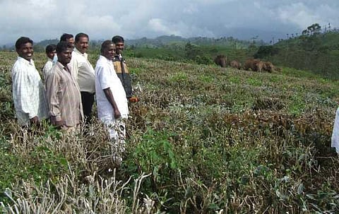 யானைகளின் வருகை 124: சர்ச்சைக்குள் சிக்கிய கேரளம்