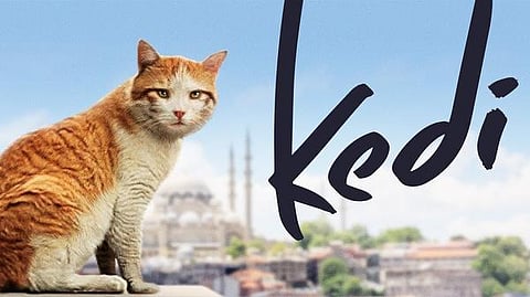 வேட்டையாடு விளையாடு 18: வசூல் நாயகன் எம்.ஜி.ஆர்