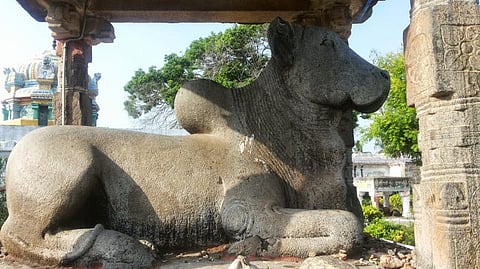 மாசி செவ்வாய், தர்ப்பணம், பிரதோஷம், மகாசிவராத்திரி... மாசி மகத்துவம்!