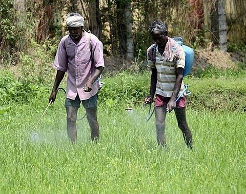 தமிழகத்தில் உயிரை பறிக்கும் பூச்சிக்கொல்லிகள்: விளக்கம் கோரி அரசுக்கு மனித உரிமை ஆணையம் நோட்டீஸ்