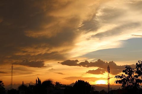 பேசும் படம்: பறத்தல் நிமித்தம்