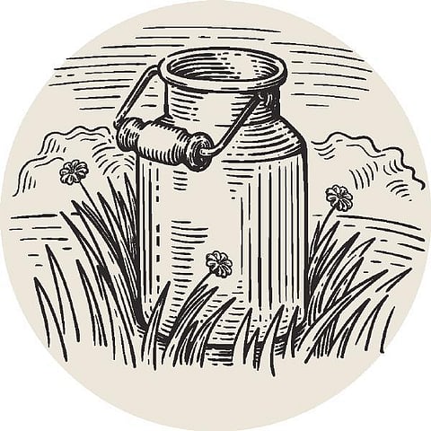 எல்லா நலமும் பெற: எடை குறைக்குமா காய்கறி ஜூஸ்?