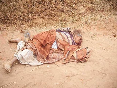 யானைகளின் வருகை 134: மனிதனை கண்டதும் மிதிப்பது ஏன்?