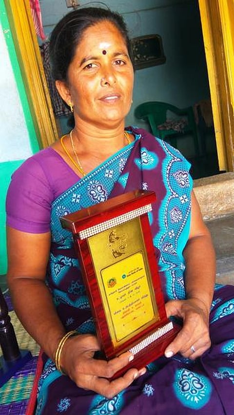 ‘வம்பன் 6’: விருது தந்த விதை