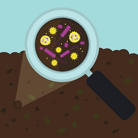 தொட்டனைத்து ஊறும் அமிழ்தம் 74: மண்ணை மலடாக்காலாமா?