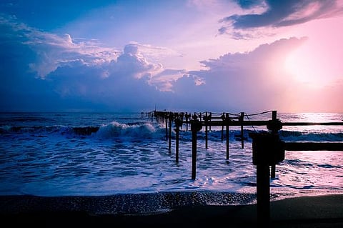 பேசும் படம்: இயற்கையின் கித்தான்கள்!