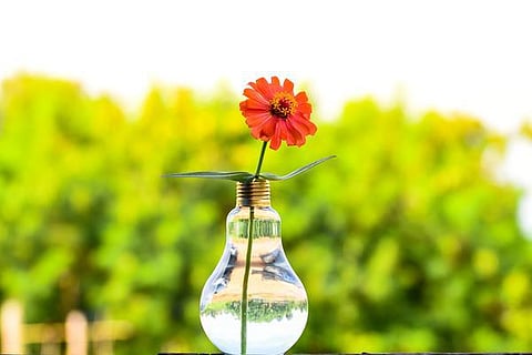 பாட்டில் பழசு செடிகள் புதுசு