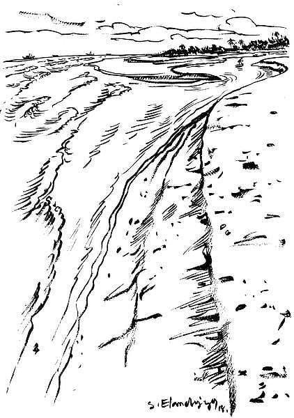 கடலம்மா பேசுறங் கண்ணு 46: மீன்களின் தொட்டில்!