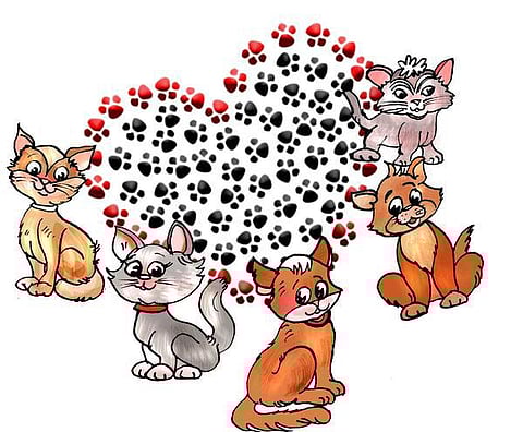 இடம் பொருள் மனிதர் விலங்கு: மியாவ்... மியாவ்...