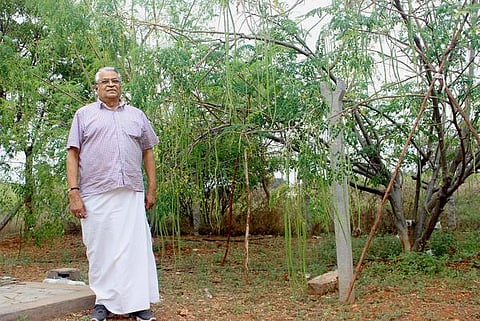 வாழ வைக்கும் முருங்கை!