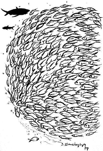 கடலம்மா பேசுறங் கண்ணு 50: கடலைப் பாடுதல்...