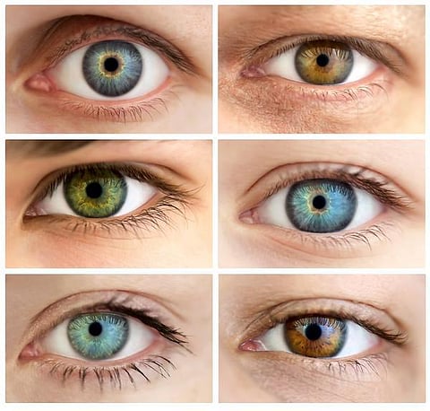 உடல் எனும் இயந்திரம் 20: இயற்கை கேமரா!