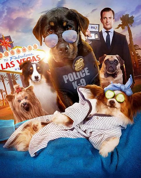 ஹாலிவுட் ஜன்னல்: நான்கு கால் நாயகன்!