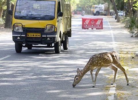 காட்டை அழிக்கும் ‘நரகம்!’