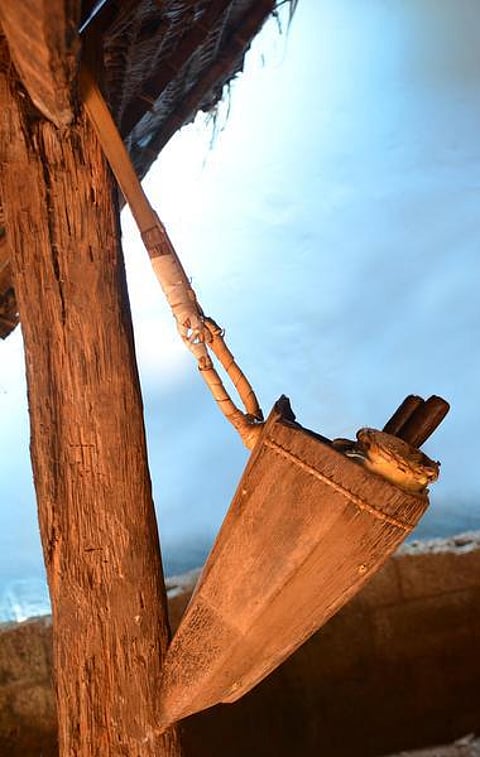 கற்பக தரு 03: பனையேறி எனும் ஆதி சூழலியலாளன்!