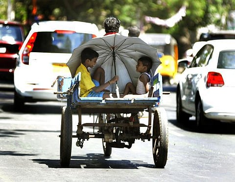 கோடை காலத்தை எதிர்கொள்ள என்ன செய்யலாம்?