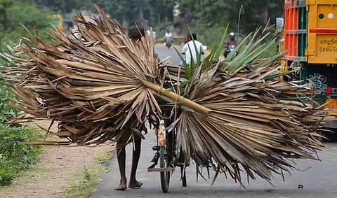 கற்பக தரு 05: பனை தந்த மொழி