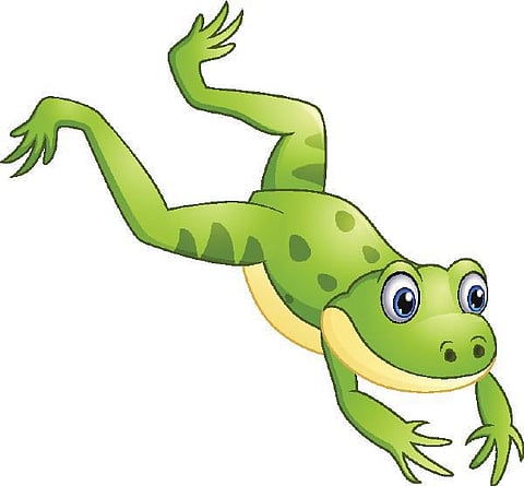 டிங்குவிடம் கேளுங்கள்: தவளையின் பின்னங்கால்கள் ஏன் நீளமாக இருக்கின்றன?