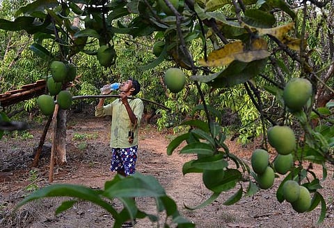 மாங்கனி நகரத்துக்கு ஒரு முற்றுப்புள்ளி?
