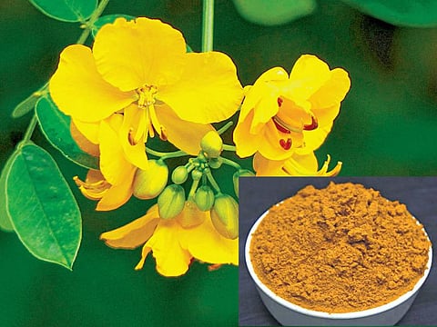 ஆவாரம்பூ சாம்பார் பொடி