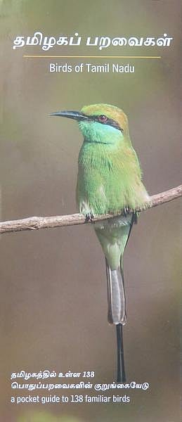 வானகமே இளவெயிலே மரச்செறிவே 06: அது என்ன பறவை?