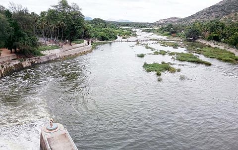 தடுப்பணைகள் அமைக்கப்படாததால் வீணாக கடலில் கலக்கும் தென்பெண்ணை ஆற்று தண்ணீர்: கடலில் சேரும் 7 டிஎம்சி தண்ணீரை தேக்கினால் 50 ஆயிரம் ஏக்கரில் 3 போகம் விளைச்சல் காணலாம்