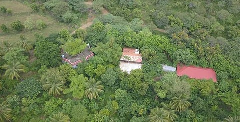 வாழ்க்கை, வண்ணம்: காட்டின் நடுவில் ஒரு தரிசனம்...