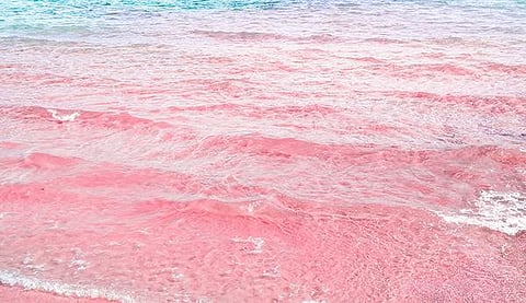 இது எந்த நாடு? 67: இளஞ்சிவப்புக் கடற்கரை நாடு