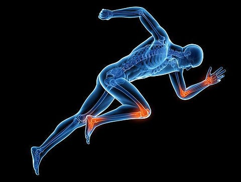 உடல் எனும் இயந்திரம் 29: உடலின் தூண்கள்