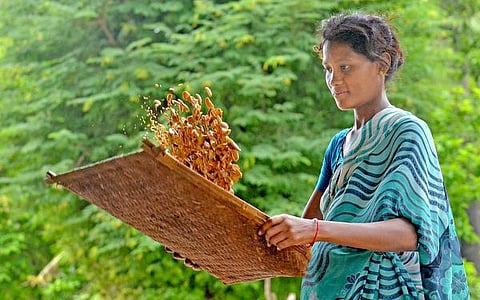 கற்பக தரு 13: மறப்பெண் எனும் ‘முற’ப்பெண்!