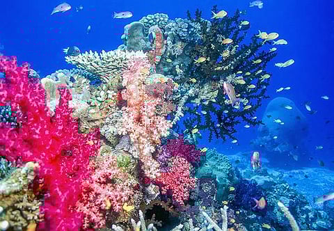 இது எந்த நாடு? 69: அழகிய தீவுகளின் நாடு